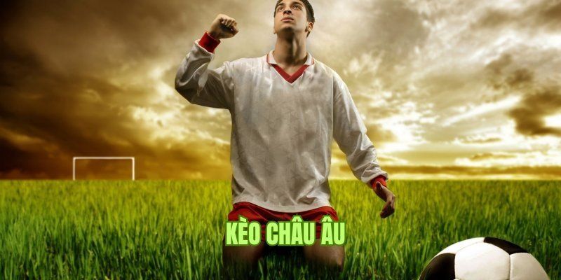 Bí quyết đọc kèo 1X2 hiệu quả cho thành viên mới 